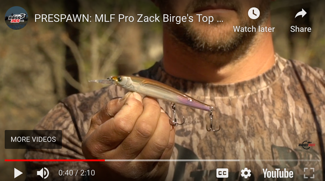 MLF Pro Zack Birge's Top 3 Prespawn Baits