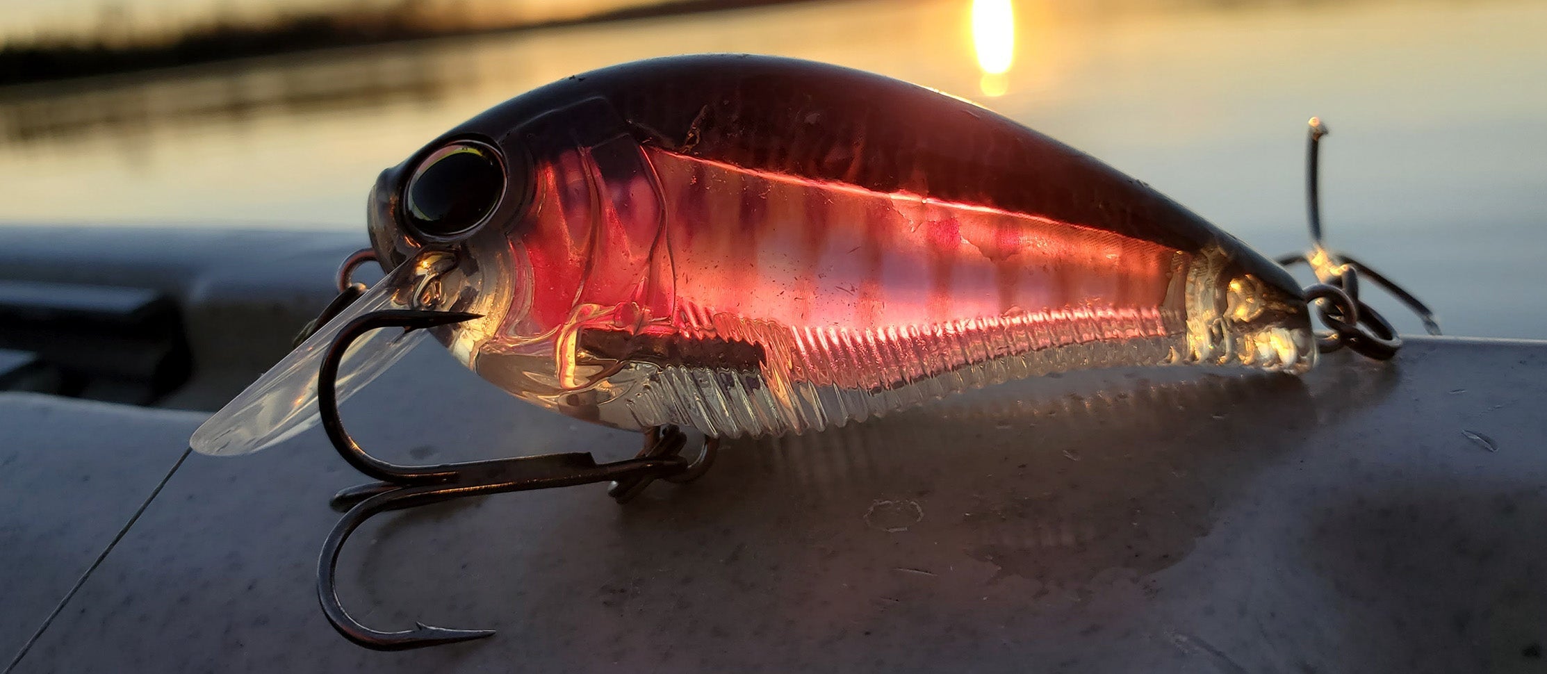 BRONZEBACKS & BIGMOUTHS: FALL PATTERNS THAT DELIVER