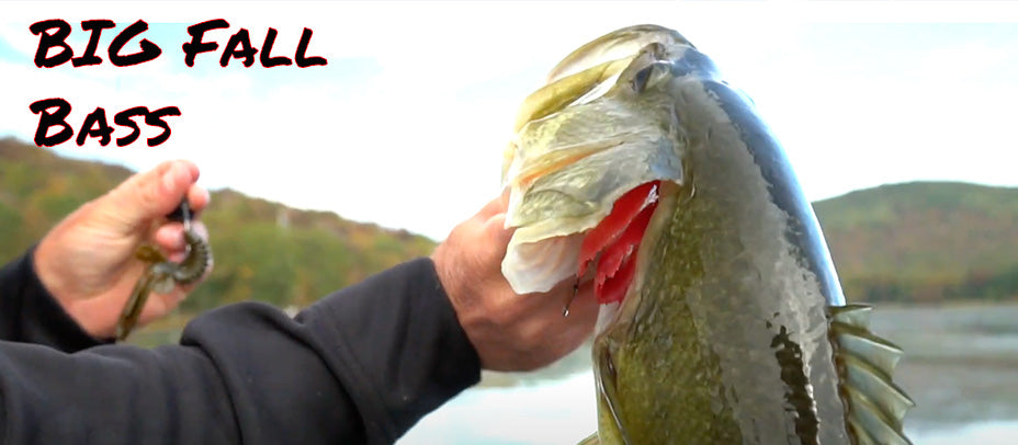 Catchin BIG Fall Bass | Fletcher Shyrock