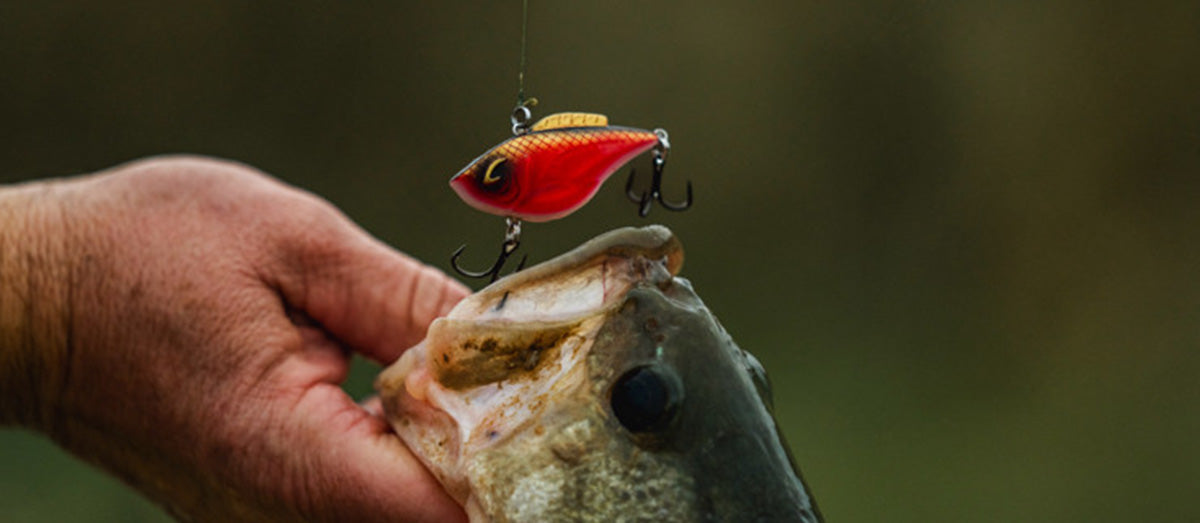Bill Lewis Fishing Lures: Proven Bass Baits for Every Season
