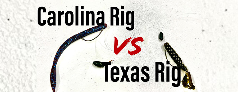 A CAROLINA RIG OR A TEXAS RIG!!