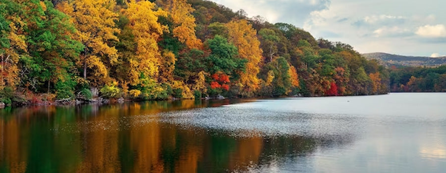 Largemouth Bass Fishing Tips: Catch A Fall Giant