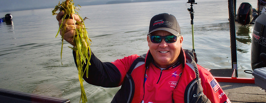 Eelgrass Education with Terry Scroggins