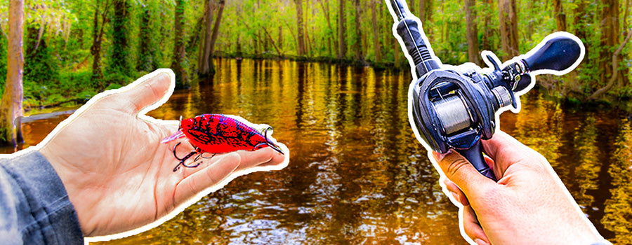 Exploring Kissimmee Canal of FLORIDA GIANT