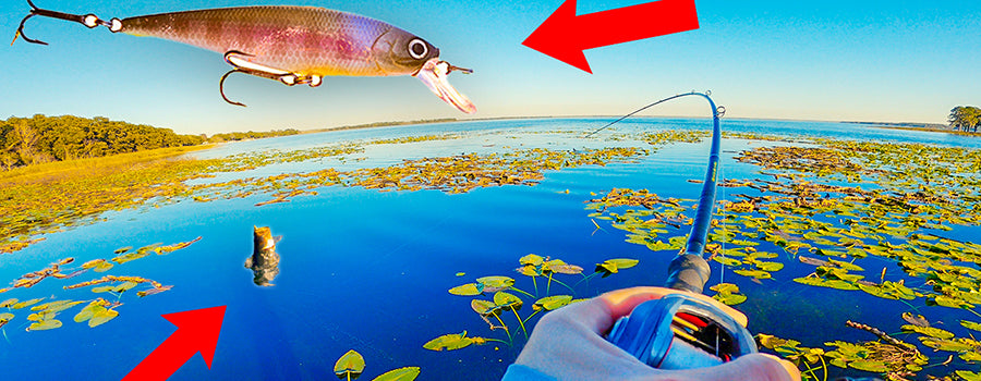 Targeting Florida PreSpawn Bass【Pointer】