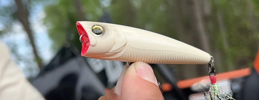 Shad Spawn Tips