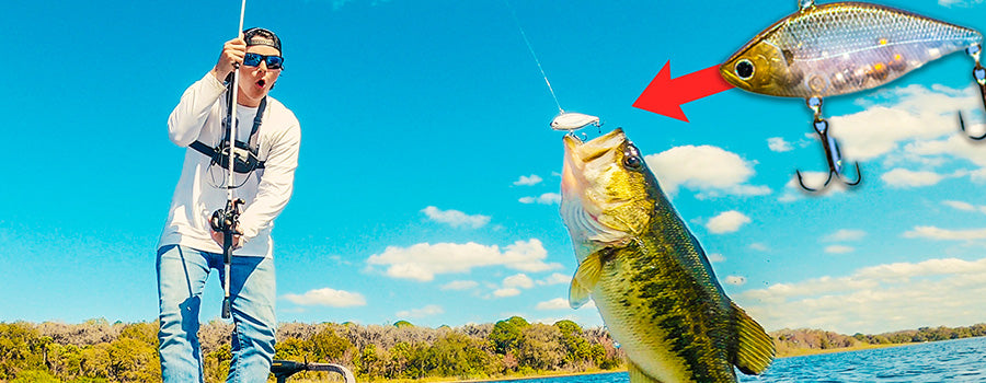 Prespawn Grass Cranking Tips for Lipless Crankbaits