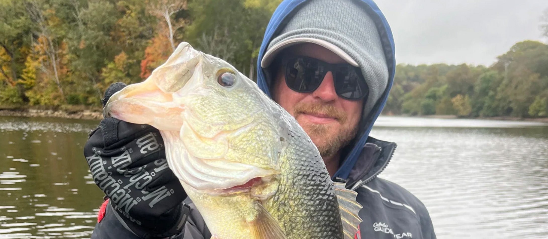 Best Lipless Crankbait for Largemouth Bass in 2025