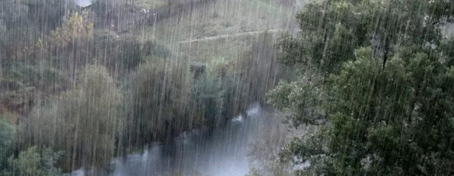 Weather Cancels Day 1 Of Bass Fishing World Championship