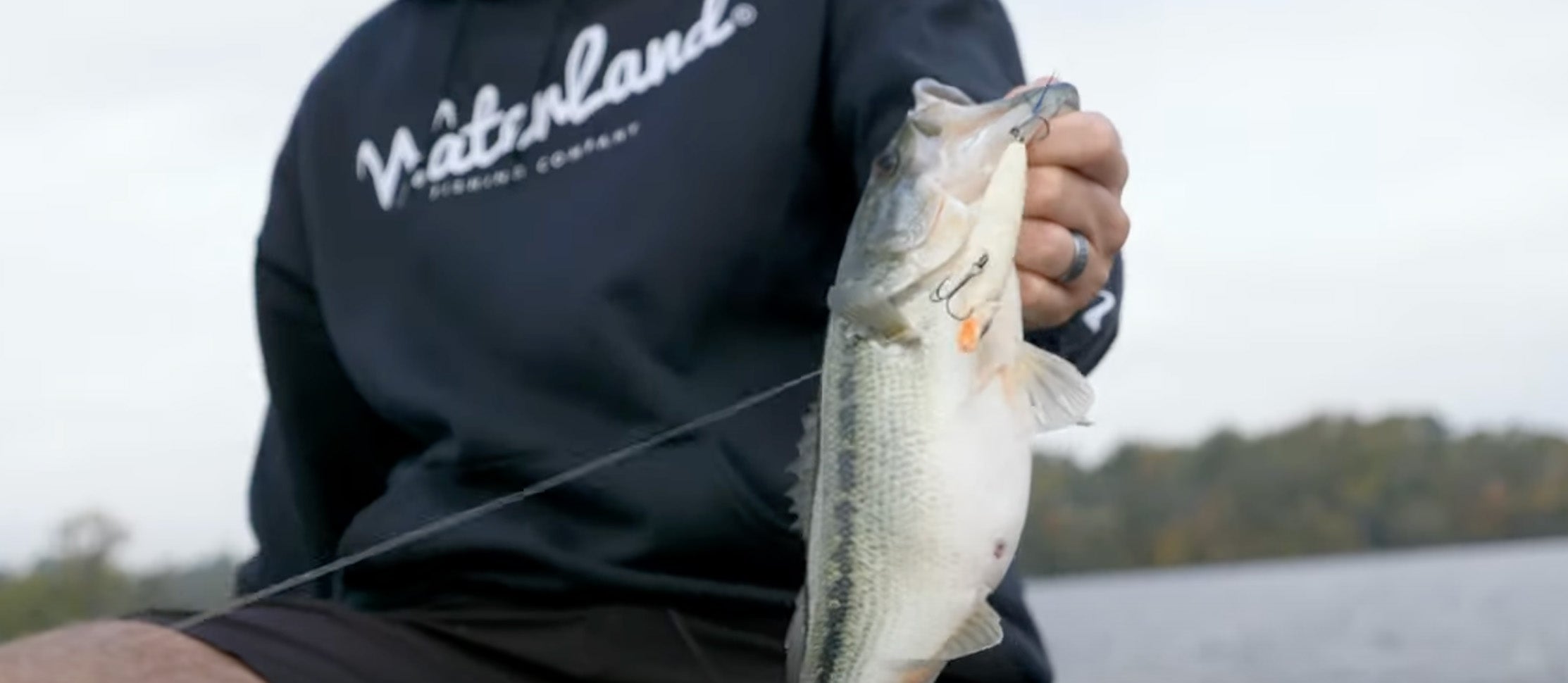Fishing For Schooling Bass with Spencer Shuffield!
