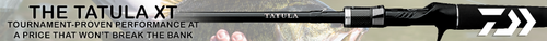 Daiwa Footer Ad
