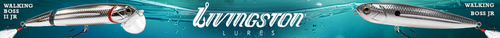 Livingston Footer Ad