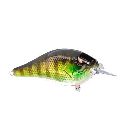 Ark Fishing Squarebill 5-7' Diver / Green Gill Squarebill Crankbait