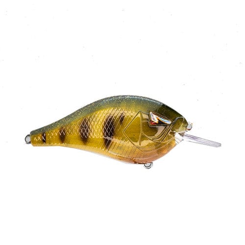 Ark Fishing Squarebill 5-7' Diver / Sexy Perch Squarebill Crankbait