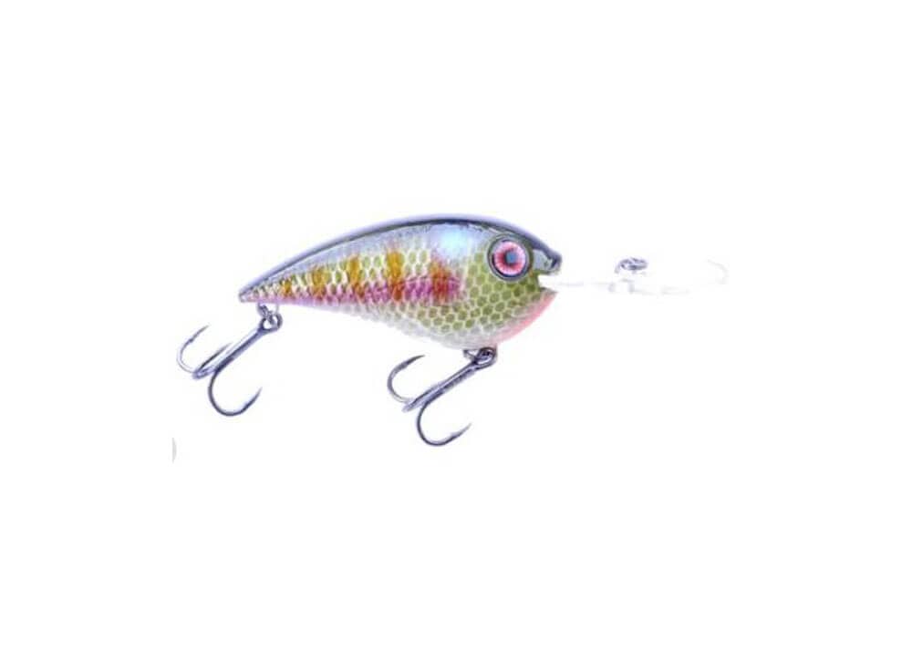 Bruiser Baits Crankbaits Gill Bruiser Cruiser Med Diver