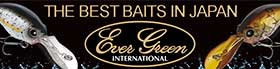 Evergreen Baits Sidebar C