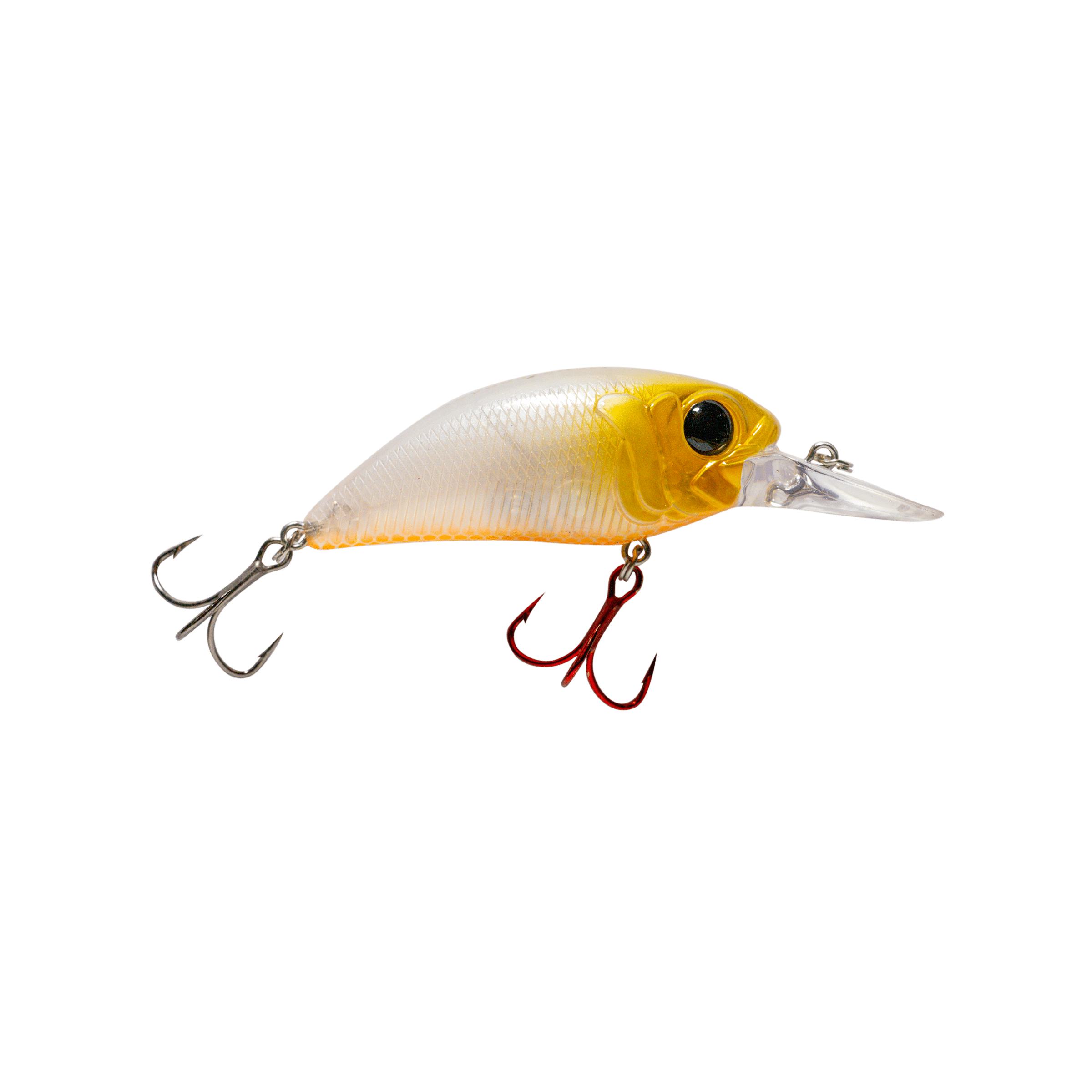 MONSTERBASS Baits Seeker 8 v2.0