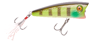 Vicious Fishing Topwater Green Gill V-Pop 80 Popper