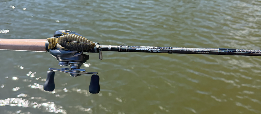 The Free-Rigged Bullflat: A Big Bass Secret Hiding in Plain Sight