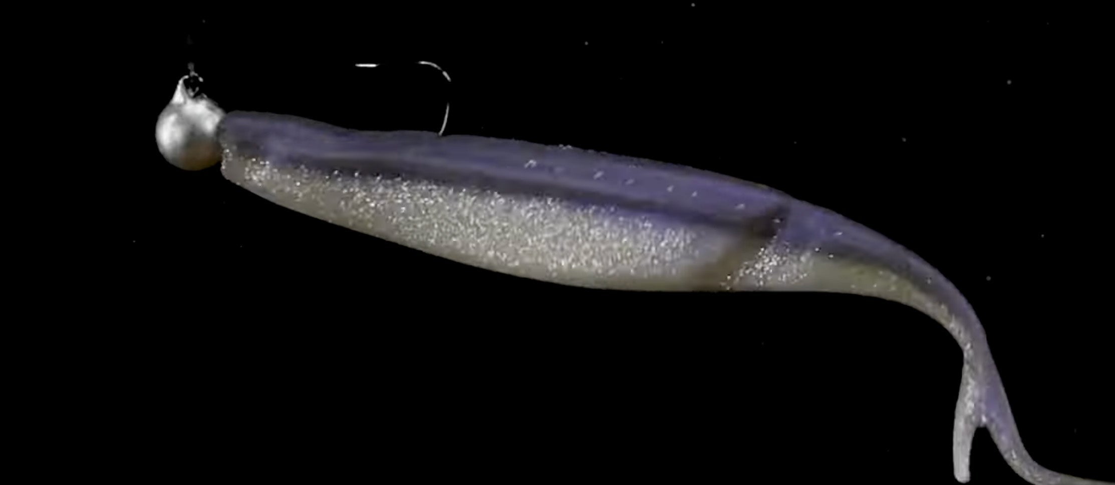 The HINGE MINNOW is HERE!!