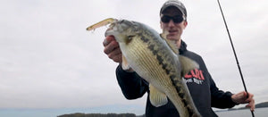3DB Pencil Bass Fishing with Brandon Card!
