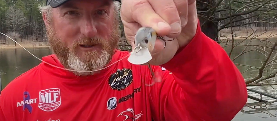 Dominant Baits For Cold Water Bass Fishing