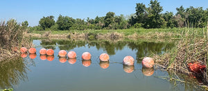 The Story Behind the Buoys that bBecame the Talk of the Harris Chain