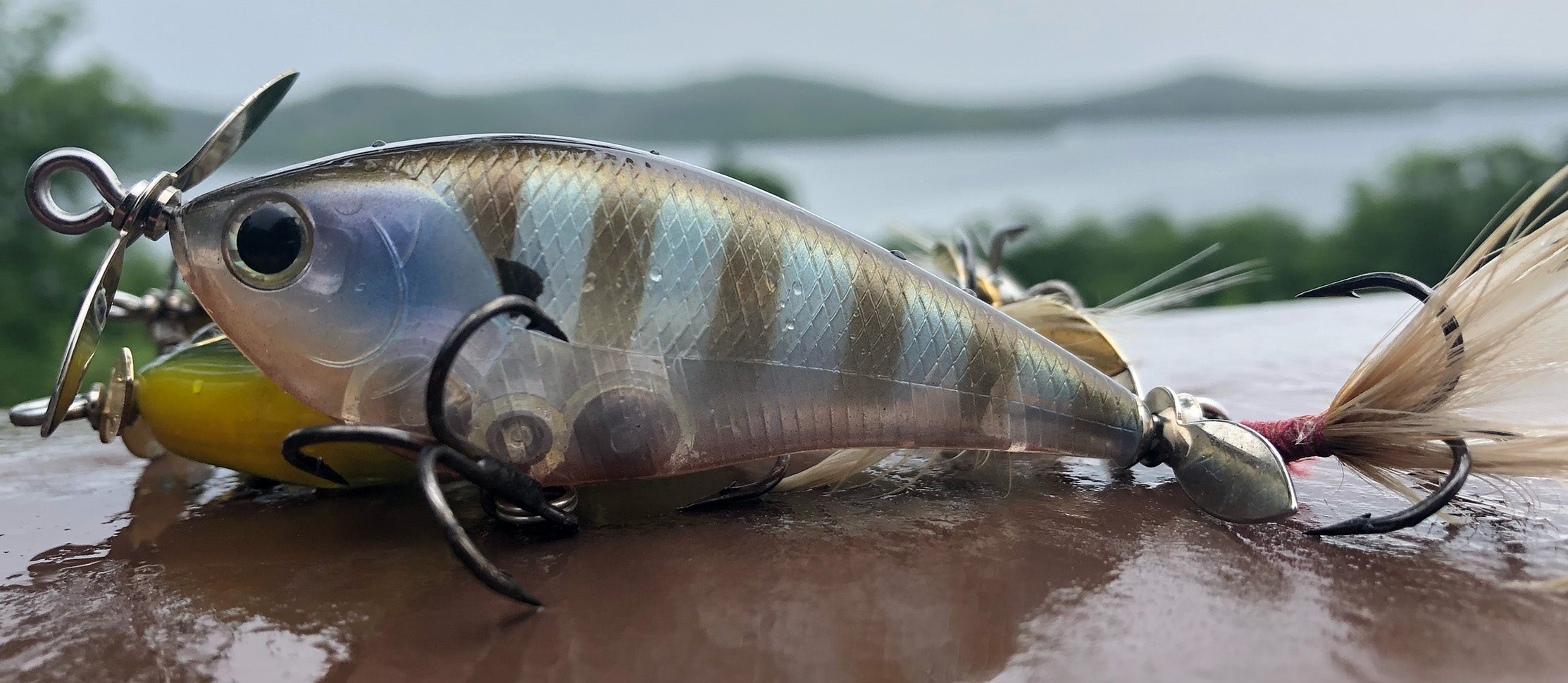 Fall Topwater Secret from Lucky Craft