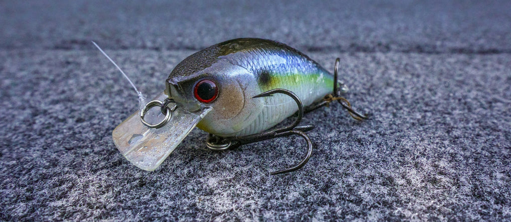 The Squarebill That Changed Bass Fishing Forever: LC 1.5