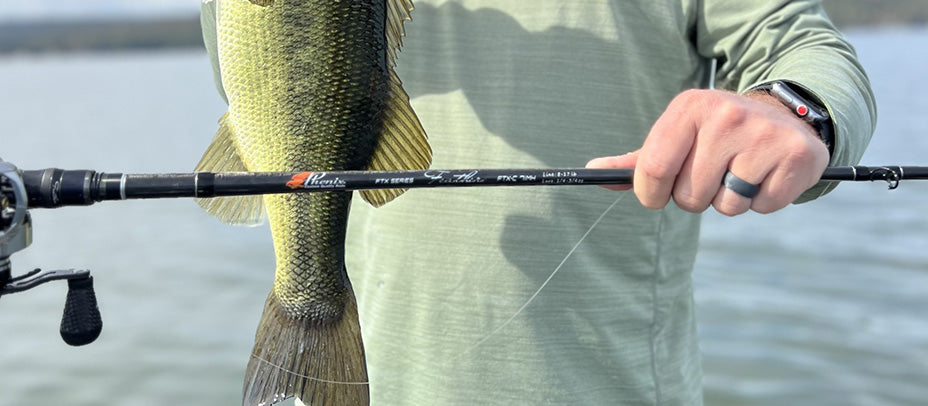 GSM Outdoors Adds Phenix Rods