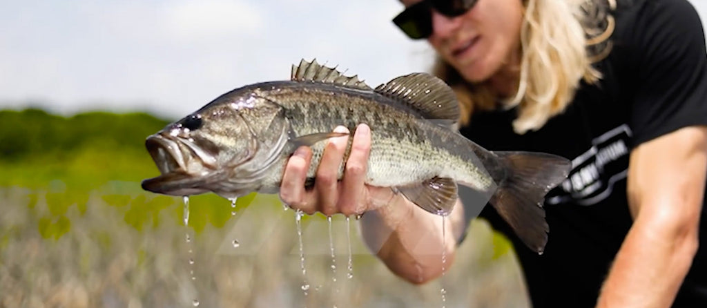 All NEW Tatula Bass Rods -X- Tatula 100