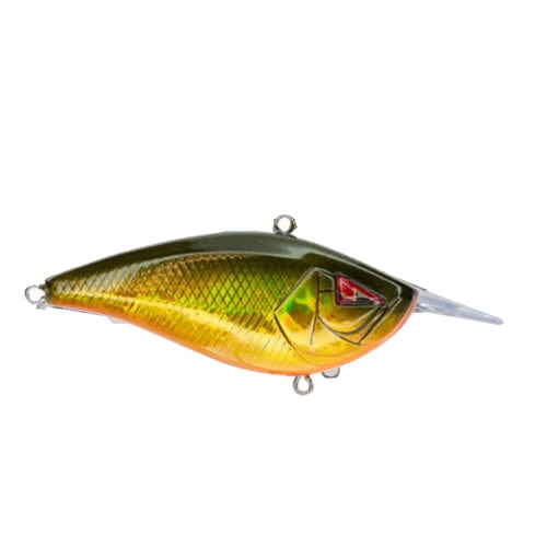 Ark Fishing Squarebill 5-7' Diver / Gold/Black Back Squarebill Crankbait