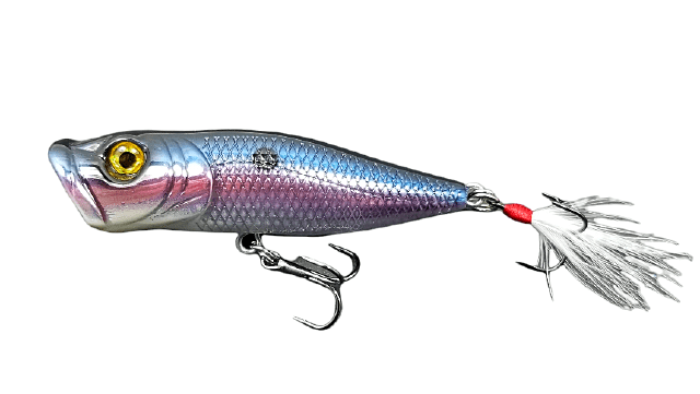 Custom Lures Unlimited Topwater American Shad Catch Outdoors Mach Popper