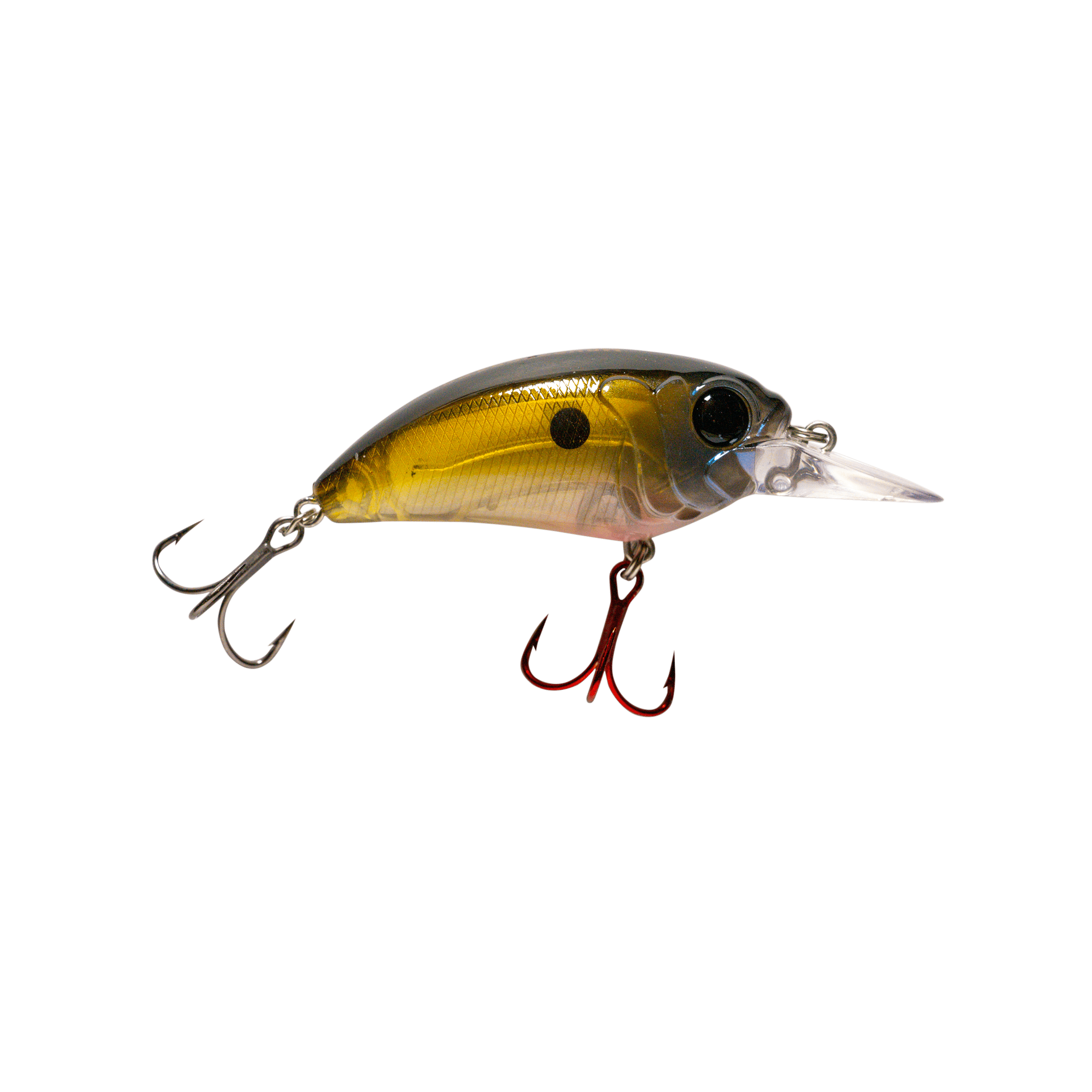 MONSTERBASS Baits Seeker 6 v2.0