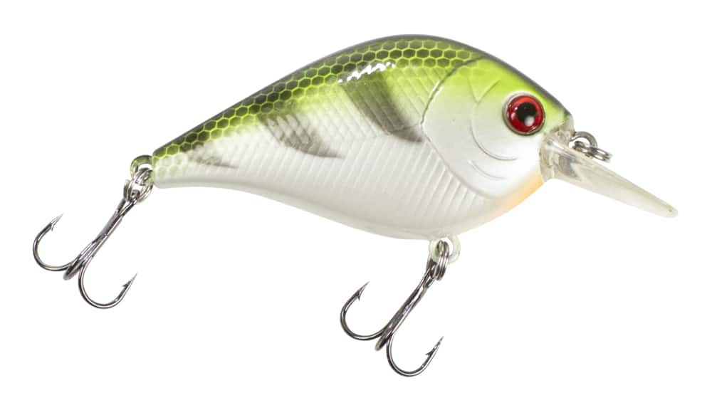 XCalibur Crankbaits Perch Flat Sided Square Bill Crankbait