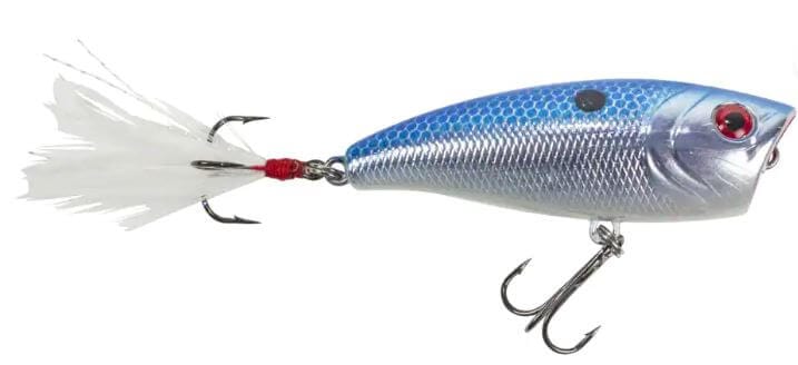 XCalibur Topwater Blue Chrome Popper