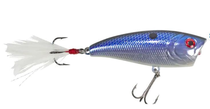 XCalibur Topwater Silver Blue Popper