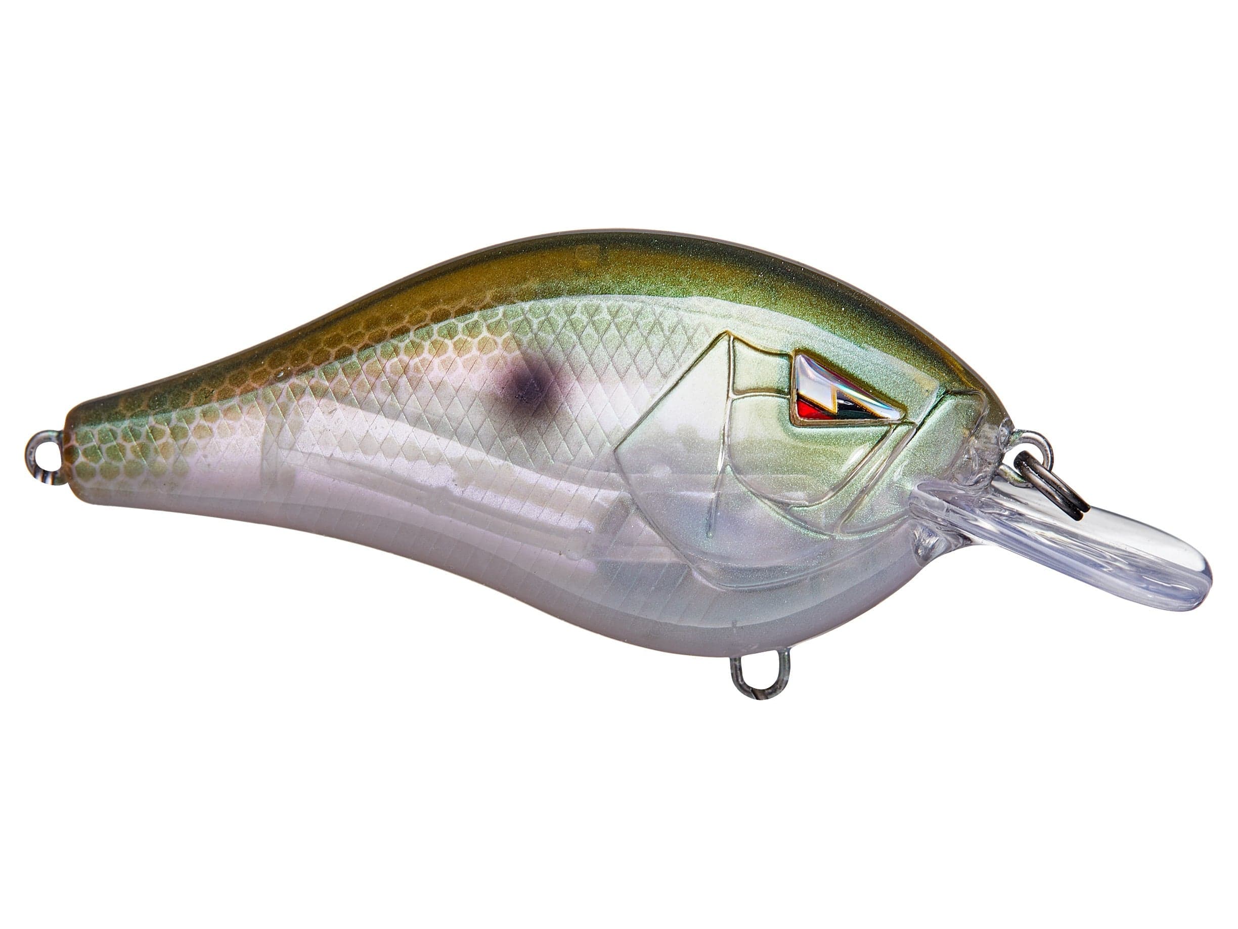 Squarebill Crankbait