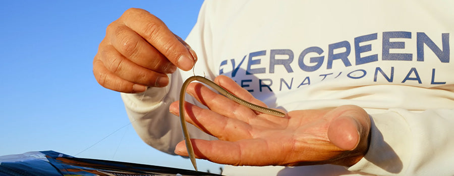 All New Evegreen Bow Worm Noodle